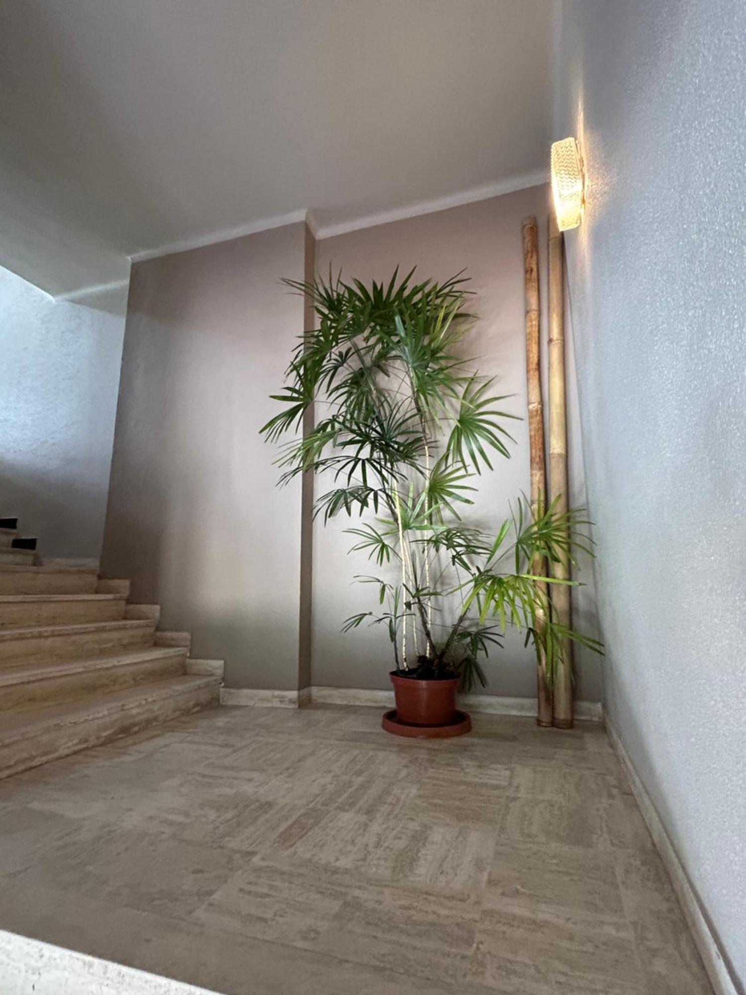 Premium Sea Front Apartment Le Lavandou Exterior foto